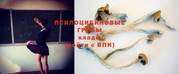 мдпв Заволжск