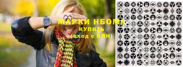 хмурый Зеленокумск