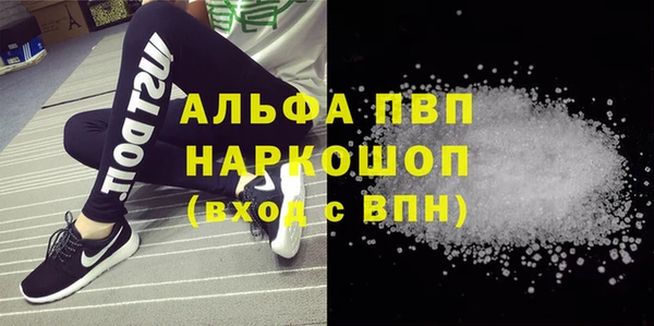 хмурый Зеленокумск