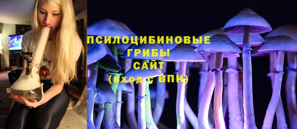 мдпв Заволжск