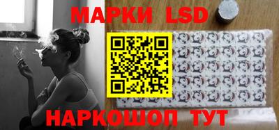 шишки Тара