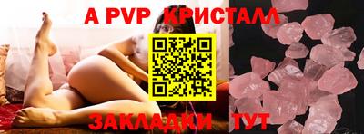 шишки Тара