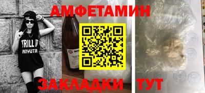 шишки Тара