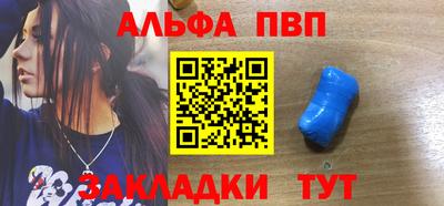шишки Тара