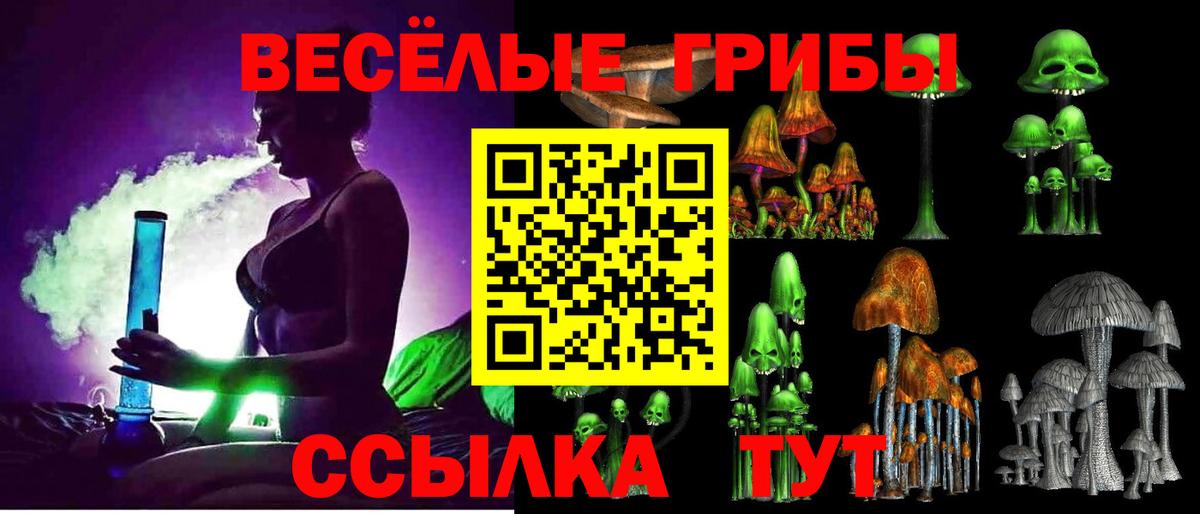Галлюциногенные грибы Cubensis  Вход с VPN  Шали 